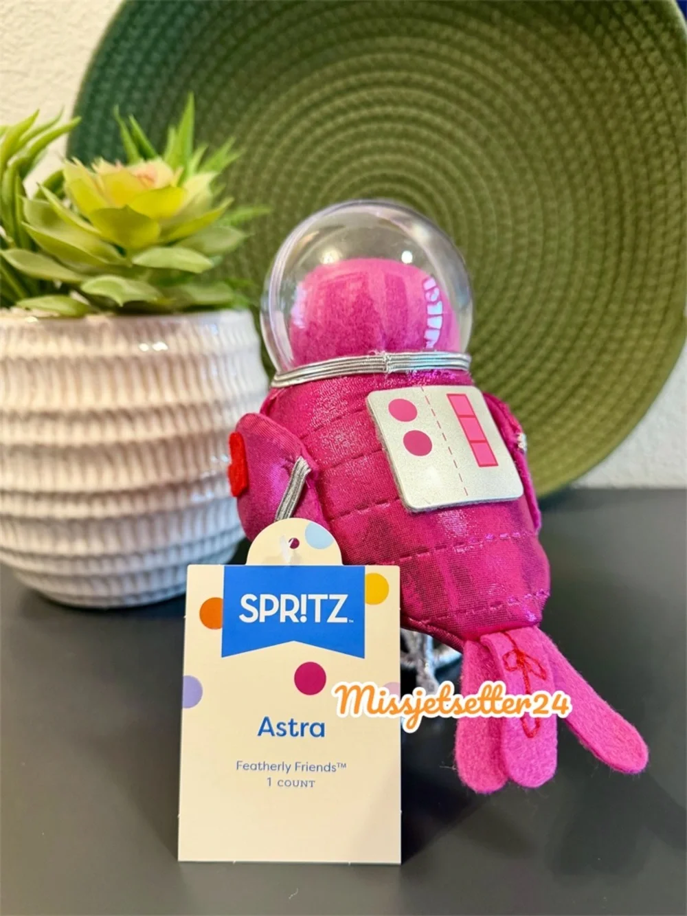 NWT Target Featherly Friends Astra Valentine’s Day 2026 Pink Astronaut Bird